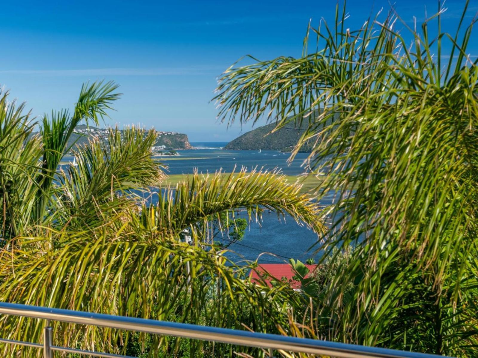 Guest House The Lazy Lion Knysna Exterior photo