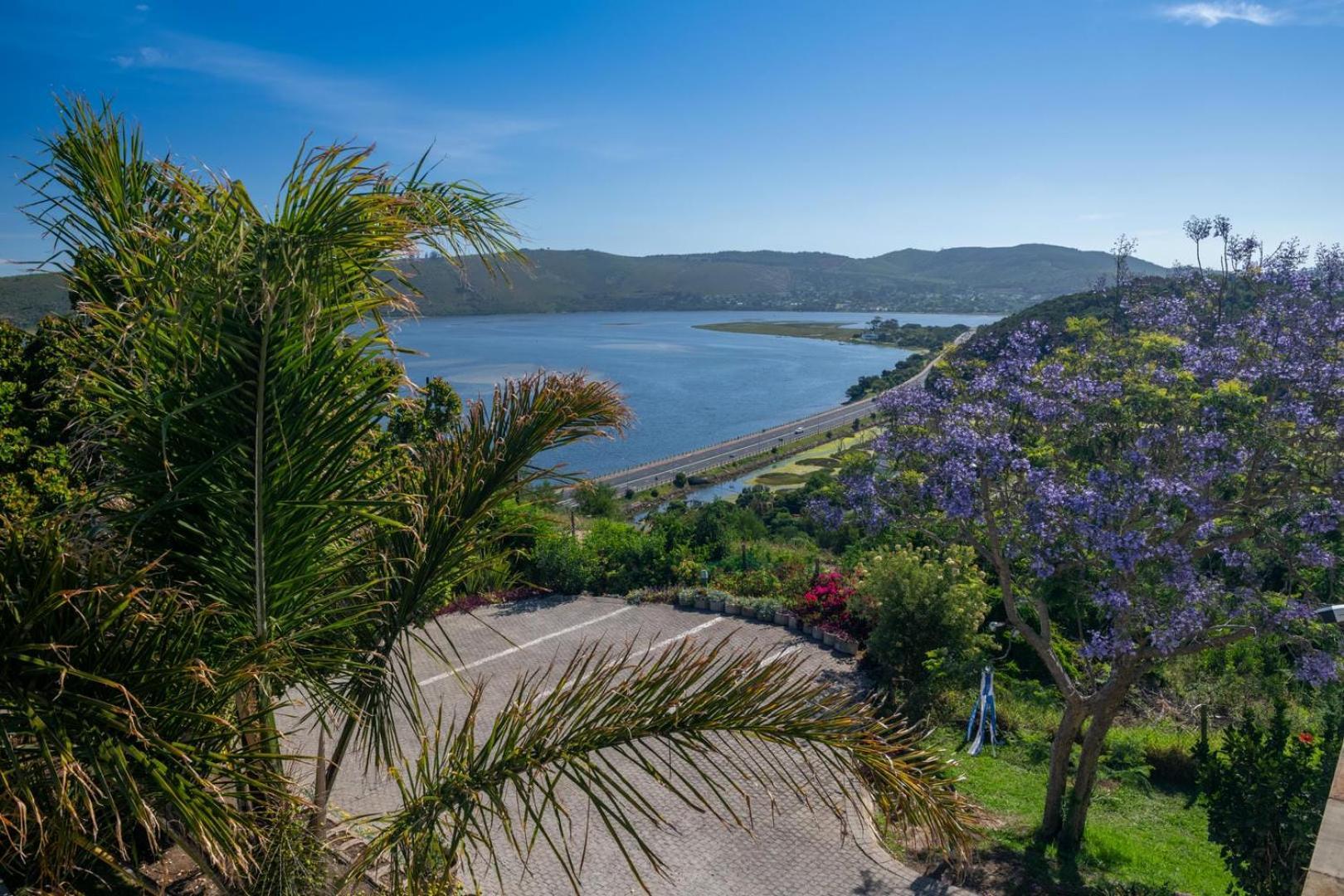 Guest House The Lazy Lion Knysna Exterior photo